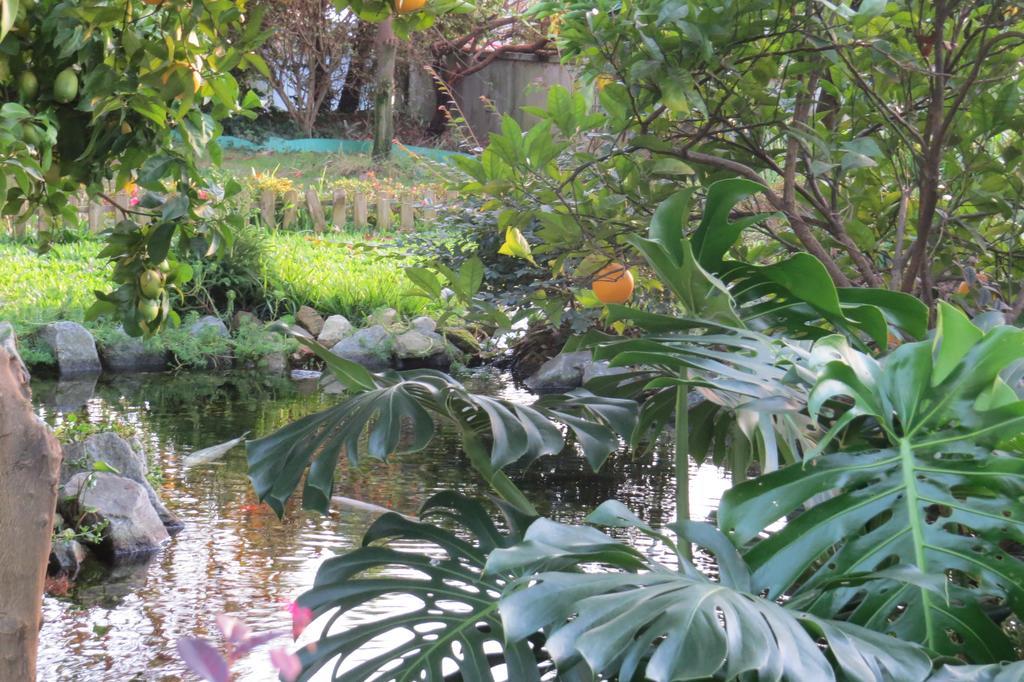 Hostel Sweet Hostel&guest House Braga